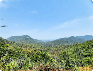 Green hills landscape